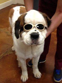 MLS laser therapy