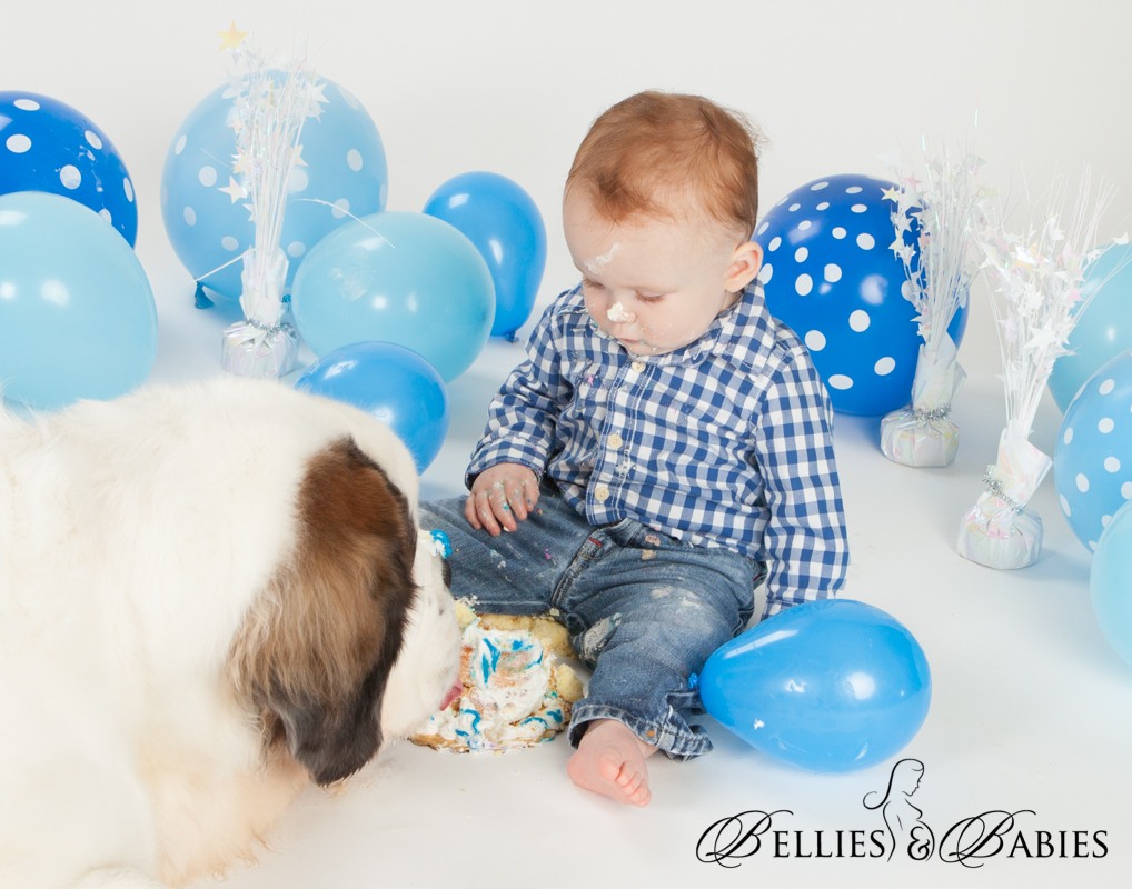 St. Bernard with baby boy and balloons