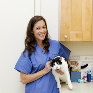 A Veterinarian's Tips On Keeping Your Pet Safe And Healthy This Spring