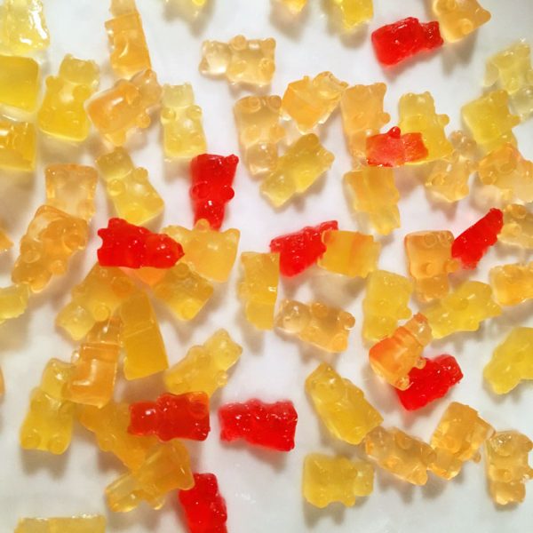 Homemade Snacks for Kids - Gummy Bears - Forever Freckled