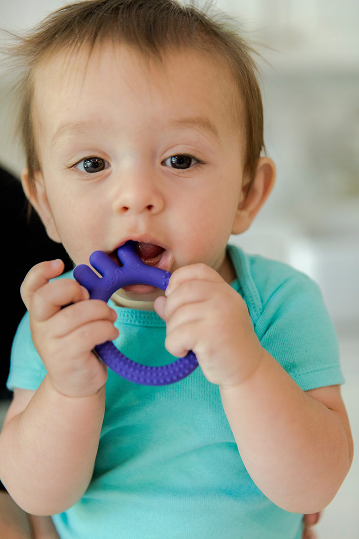 teething myths and must-haves happy teether