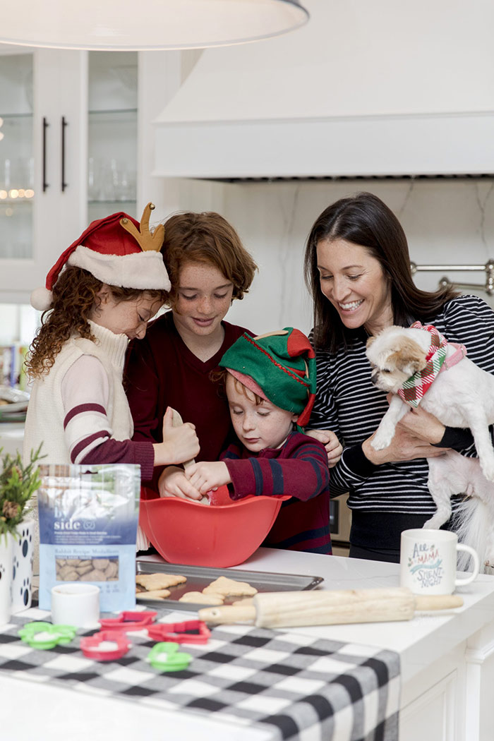 holiday pet safety and safe holiday treats for pets
