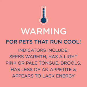 healthy pet food warming formula