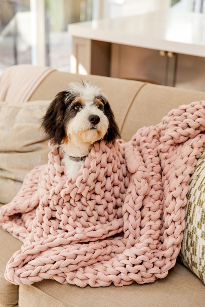 Weighted Blanket for Dogs A Calming Treat Forever Freckled