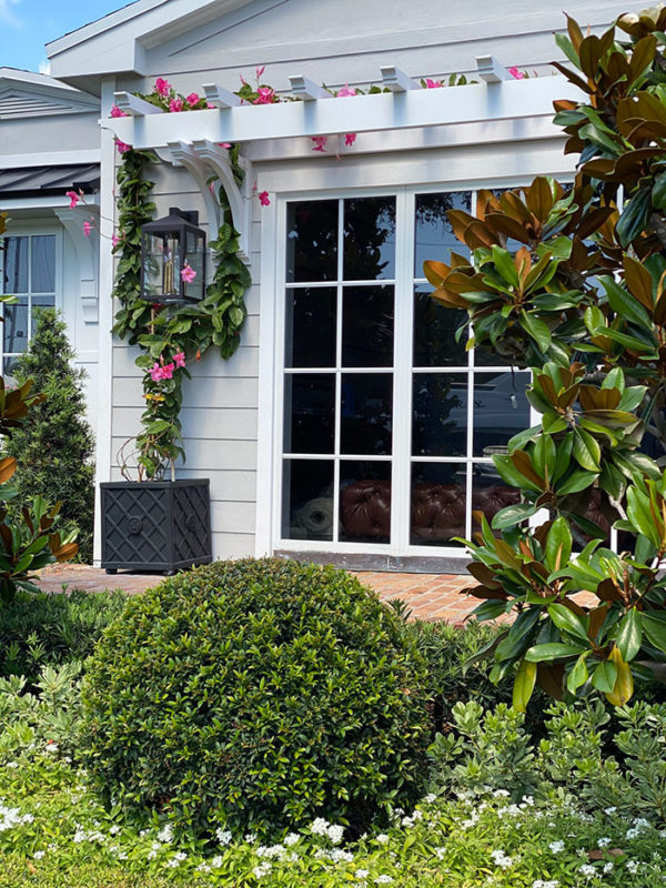 Front Yard Landscaping Ideas on a Budget | Forever Freckled